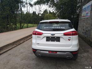 国产在线永久国产,探索在线永久国产生态圈