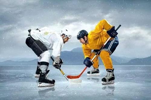 冰球动漫国产在线观看,国产青春热血，在线观看燃情来袭