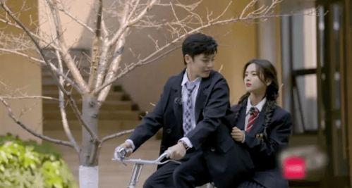 国产恋爱新综艺在线观看,国产恋爱新综艺带你领略浪漫瞬间