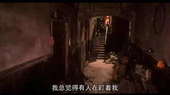 恐怖片重恐国产在线观看,在线惊悚片，重恐元素全面解析