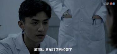 在线观看国产不看